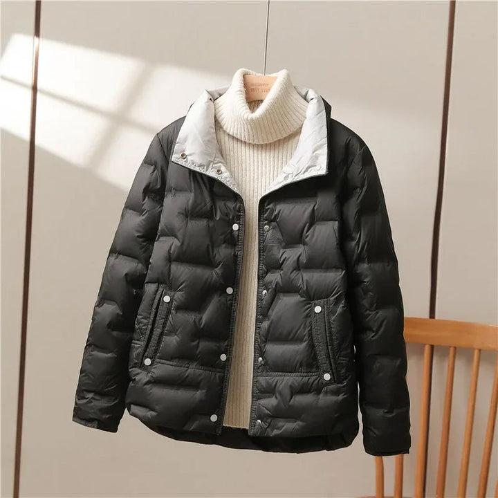 Collar Jacket | Sleek Warmth with Modern Minimalism